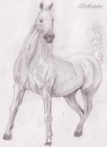 Handmade drawings: Paintings